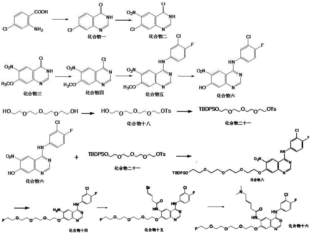 Epidermal growth factor receptor tyrosine kinase inhibitors NXGF and NXGH with antineoplastic activity and preparing method and application thereof