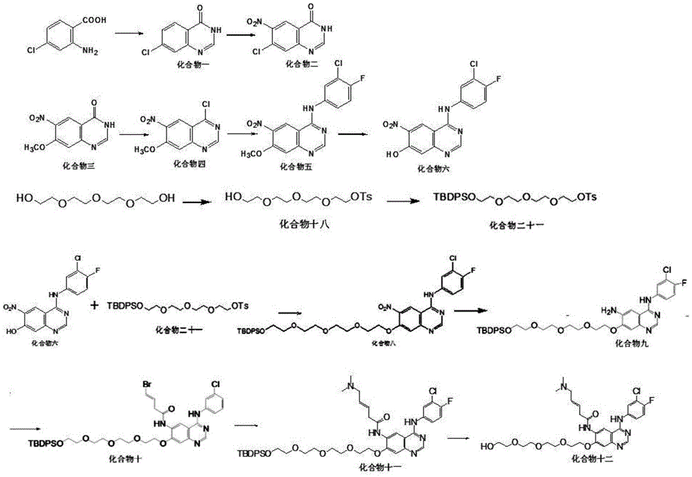 Epidermal growth factor receptor tyrosine kinase inhibitors NXGF and NXGH with antineoplastic activity and preparing method and application thereof