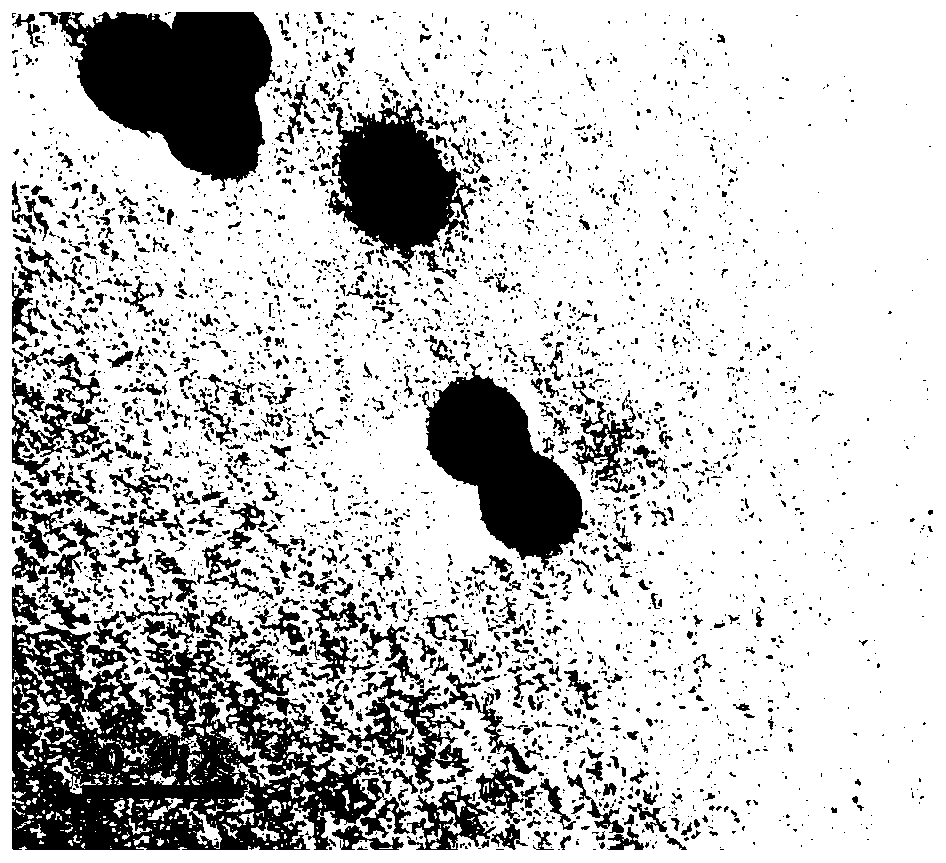 Rare earth upconversion diagnosis-and-treatment-integrated nanocomposite material as well as preparation method and application thereof