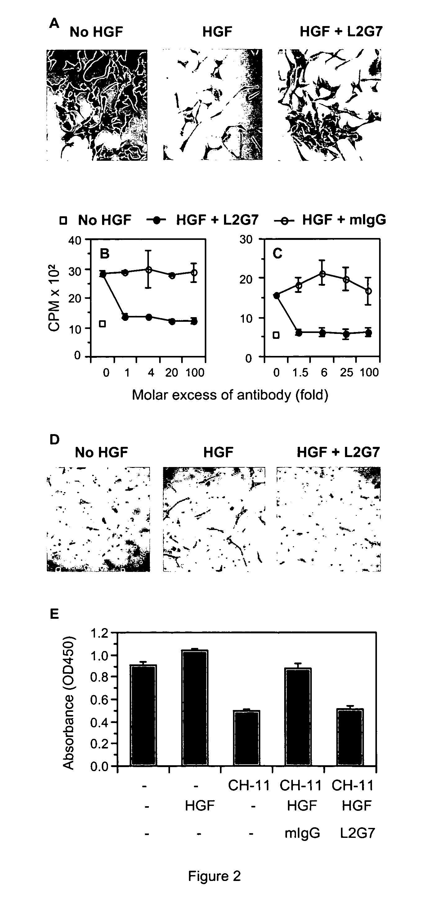 Methods of treating brain tumors with antibodies