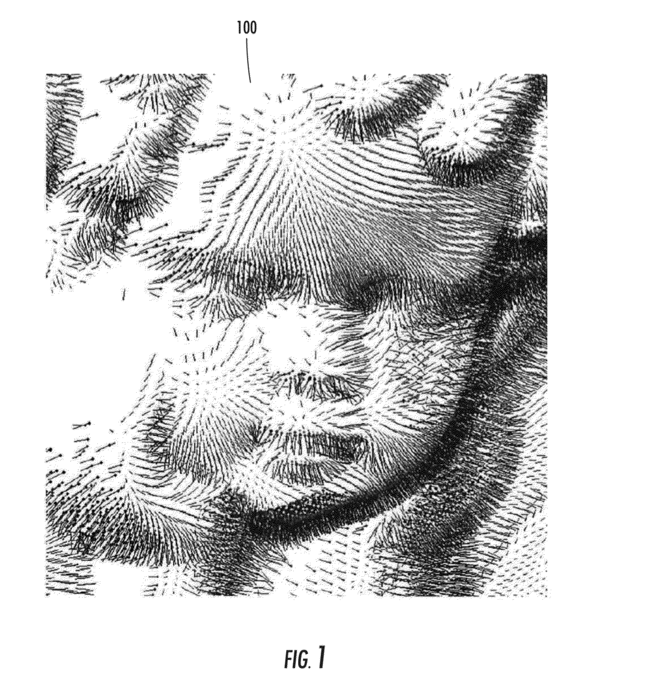 Method to reconstruct a surface from oriented 3-d points