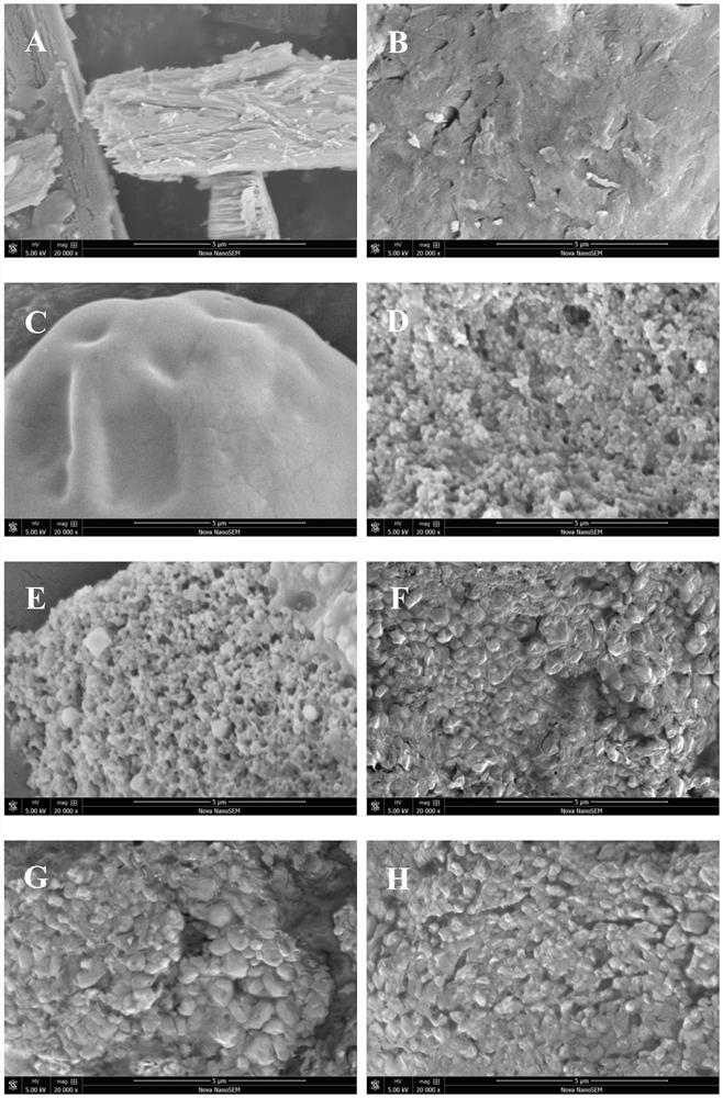 Ultrasonic preparation method of protein peptide-polysaccharide nanoparticles loaded with bioactive components