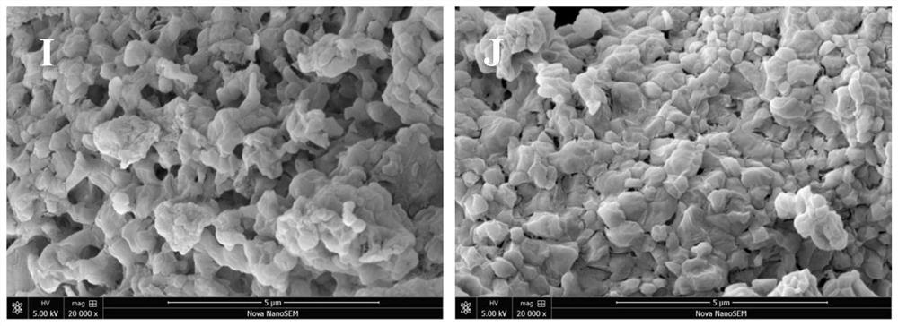 Ultrasonic preparation method of protein peptide-polysaccharide nanoparticles loaded with bioactive components