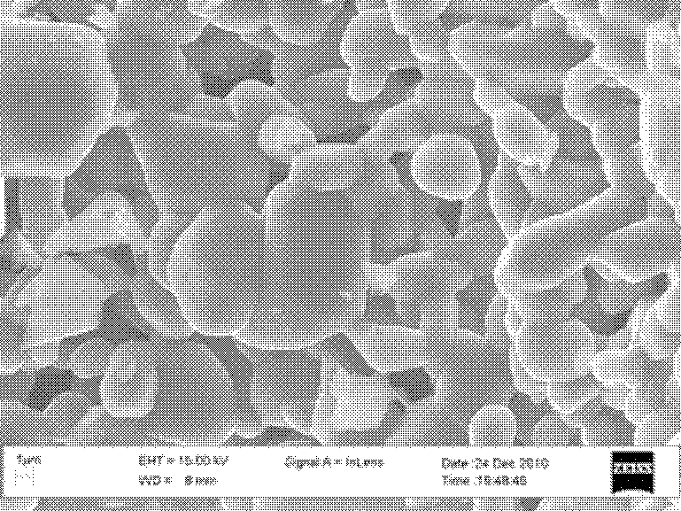 A kind of carbon nanotube/foam silicon carbide catalytic composite material and preparation method thereof