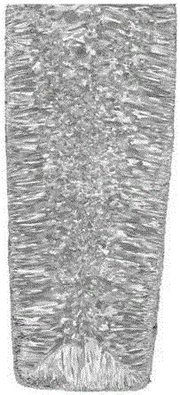 Medium chromium base ferrite stainless steel erosion agent and preparing and erosion methods thereof