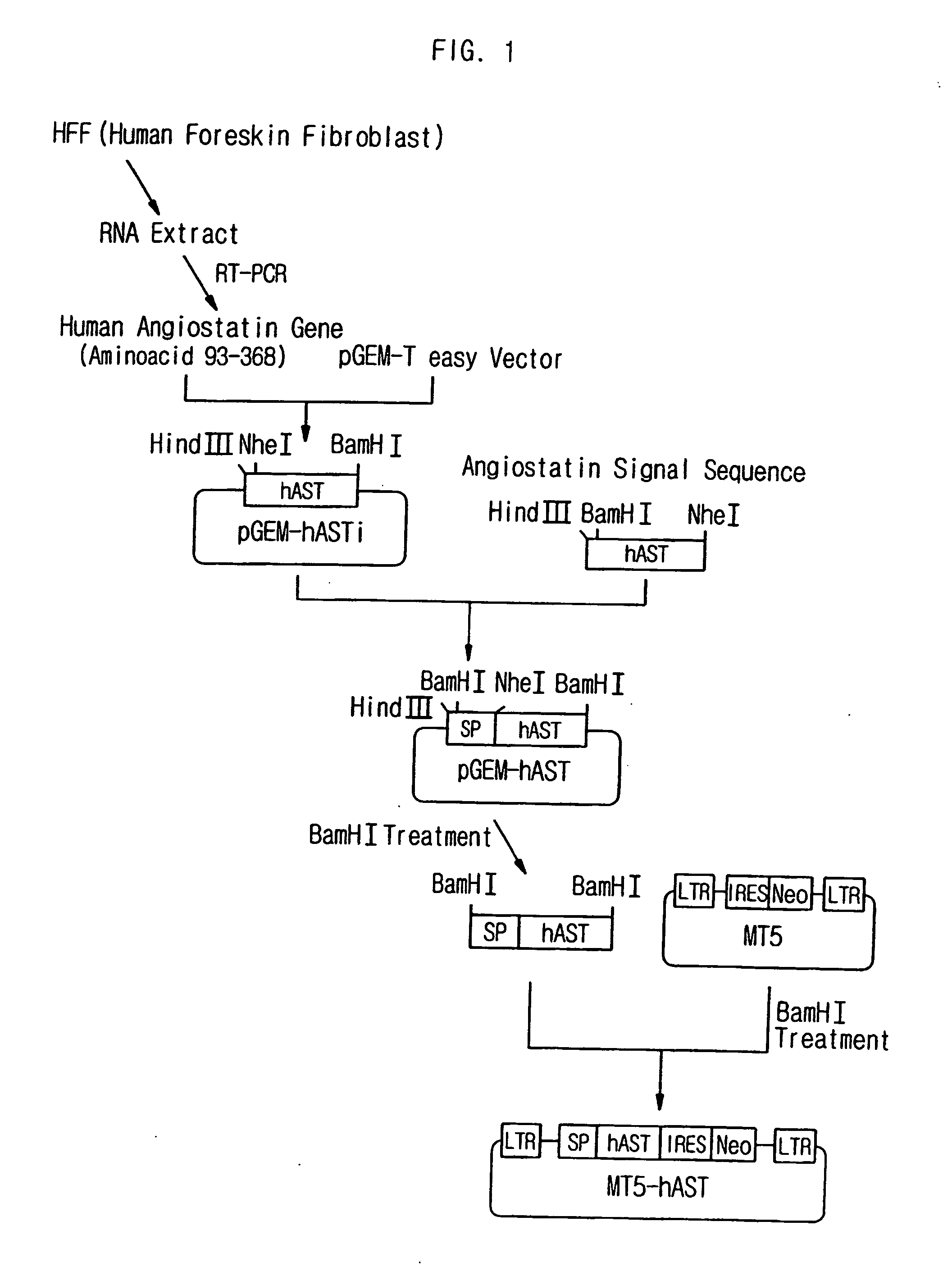 Compositions for gene therapy of rheumatoid arthritis including a gene encoding an anti-angiogenic protein or parts thereof