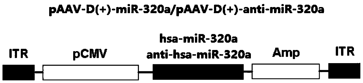 Preparing method of diabetes early warning and/or diagnosis kit based on hsa-miR-320a