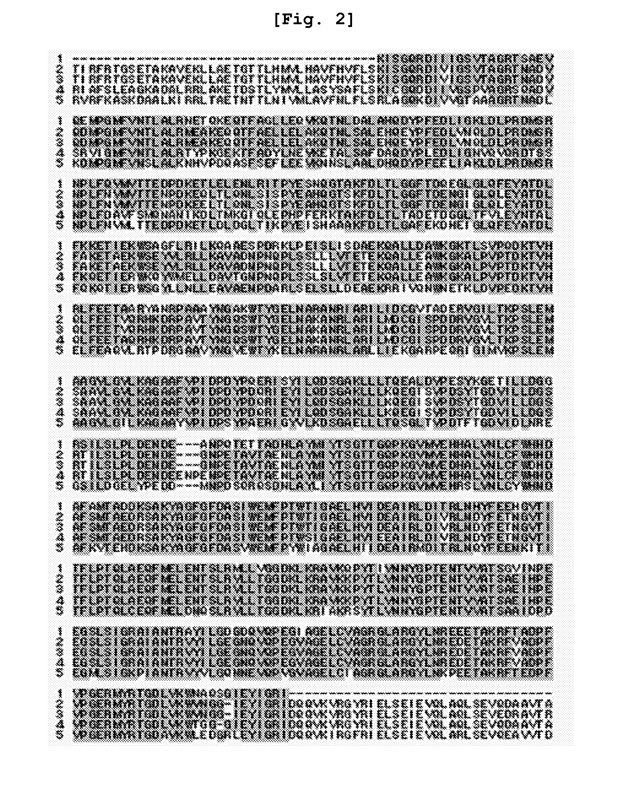 Cloning and base sequence determination of novel iturin biosynthesis gene from antagonistic microorganism bacillus subtilis and characteristics of the gene