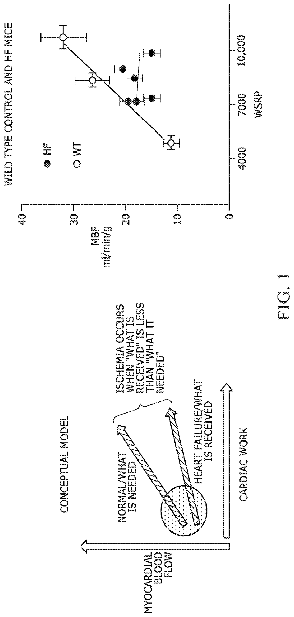 Vasodilators for treatment of heart failure