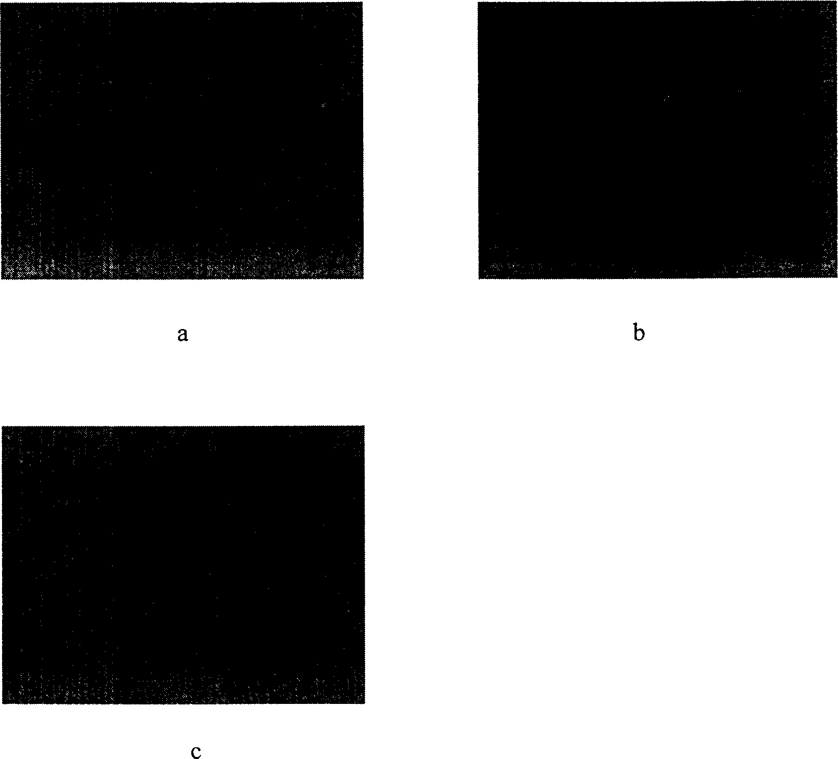 New use of sulpiride in pharmacy