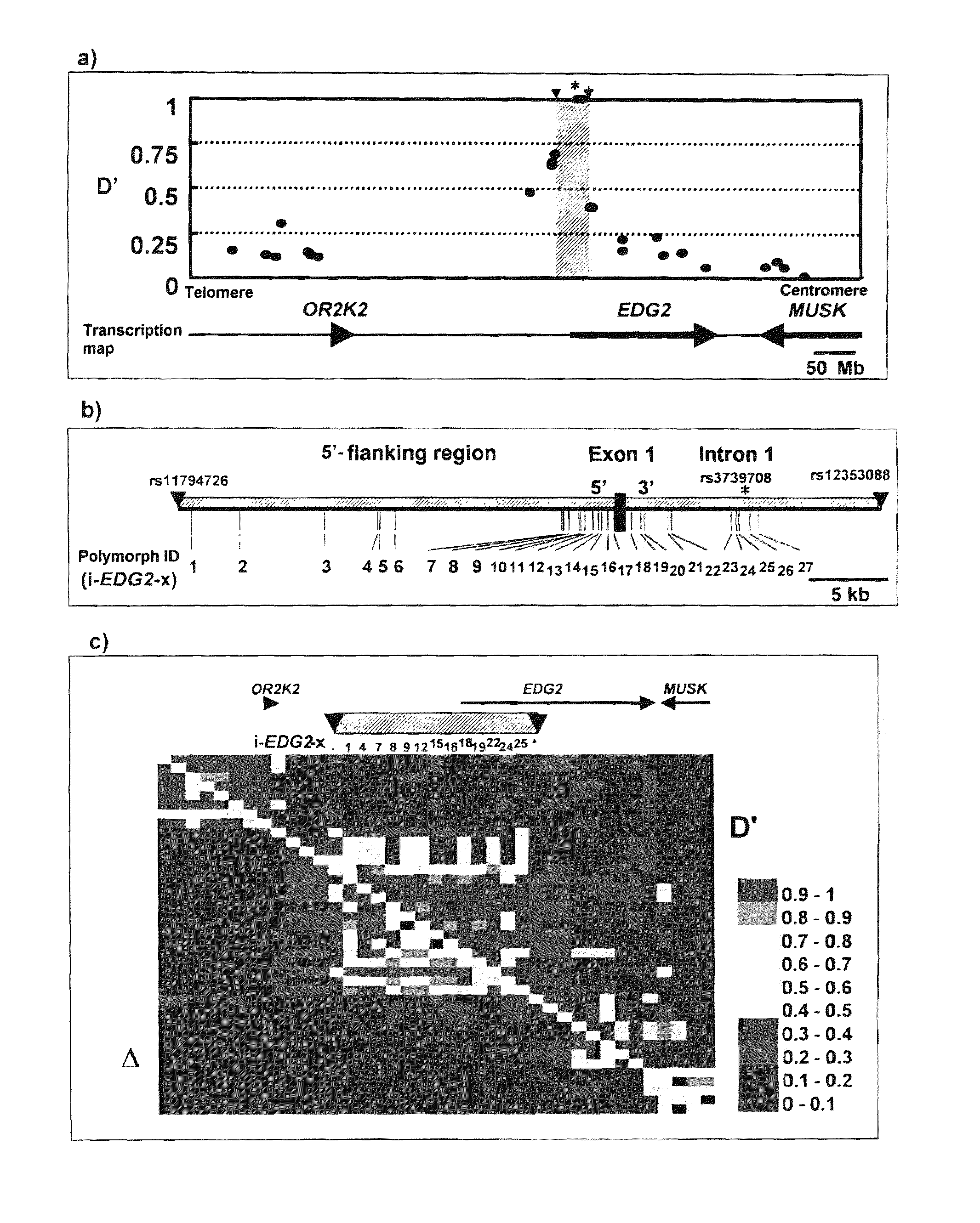 Gene sensitive to bone/joint disease and use thereof