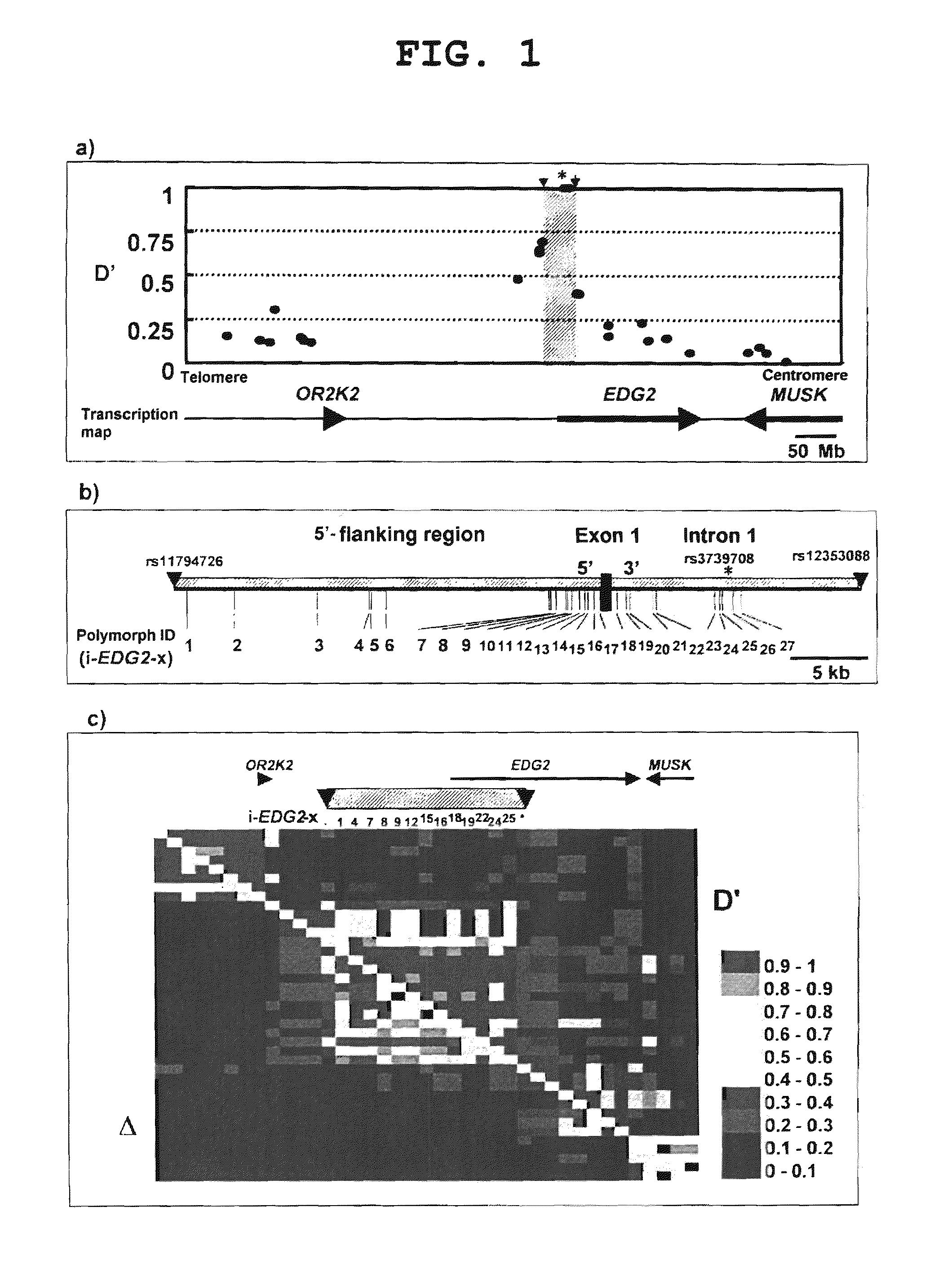 Gene sensitive to bone/joint disease and use thereof