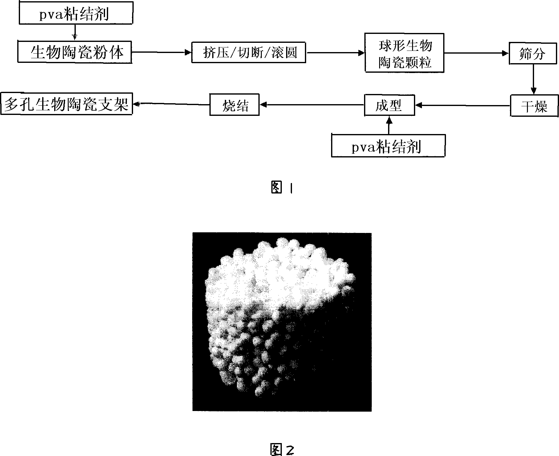 Process for preparing porous biological ceramics supporting frame