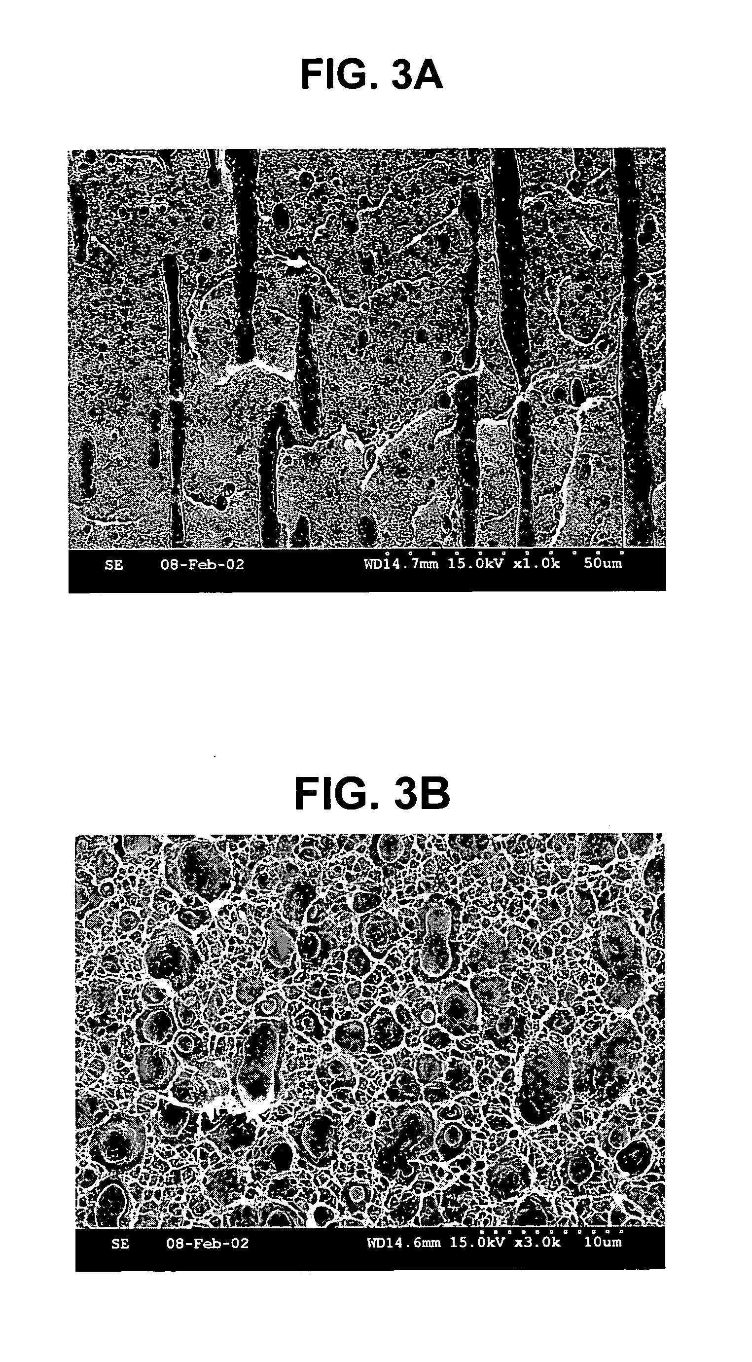 Article having barrier property