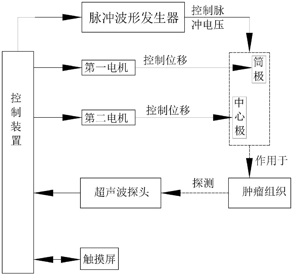 Electrical pulse ablation apparatus for endoscope