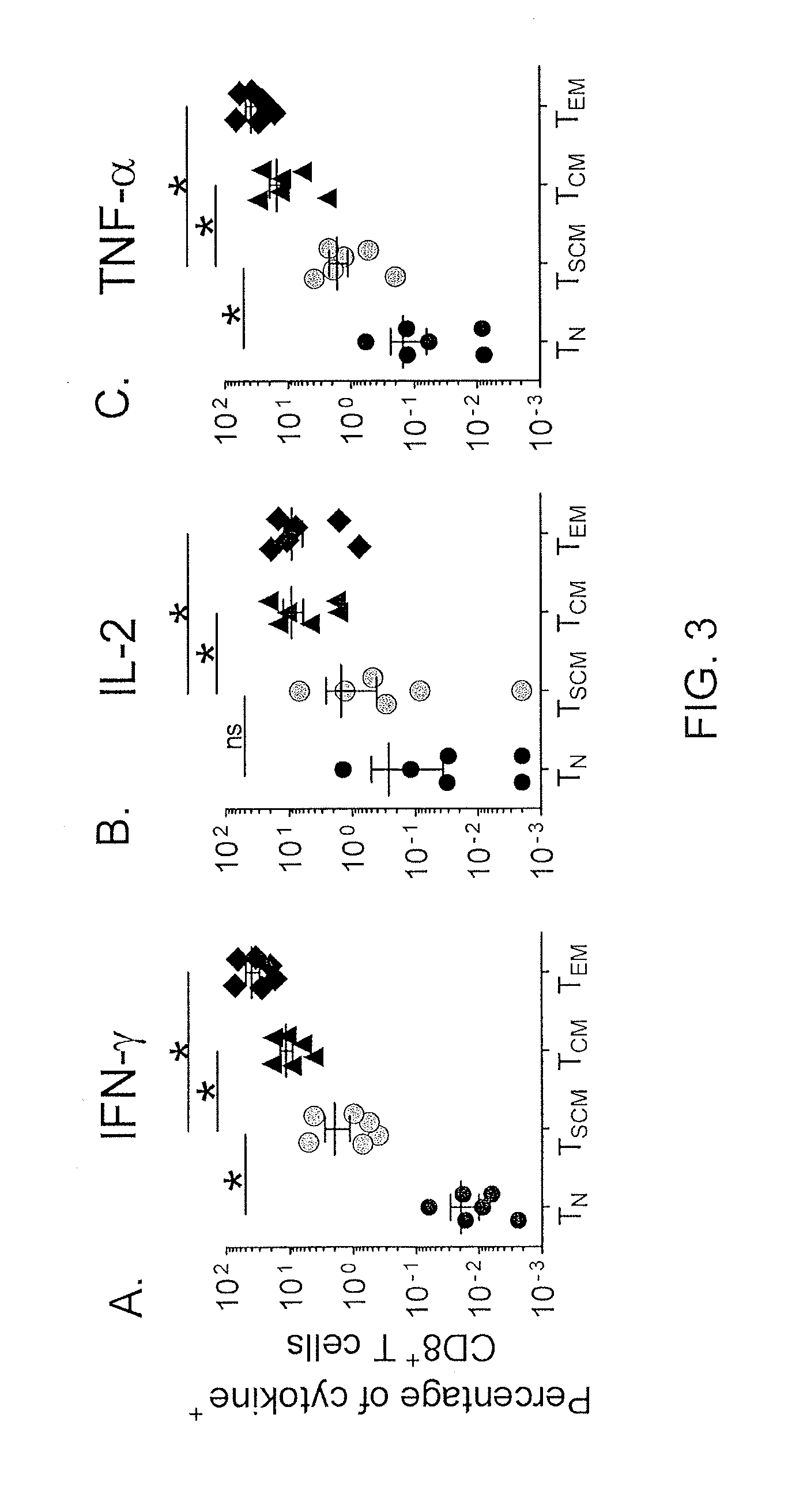 Methods of producing t memory stem cell populations