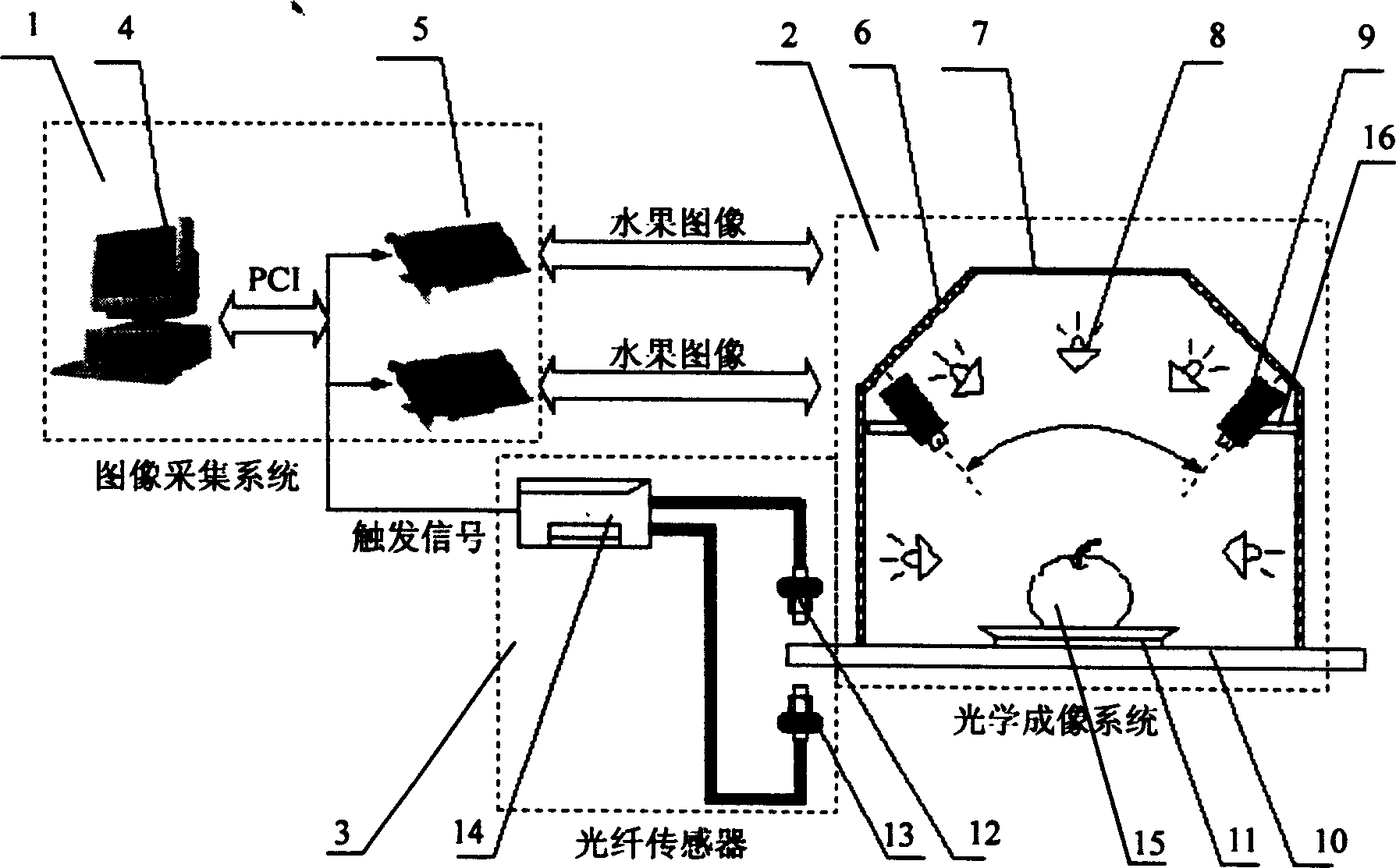 System of recognizing quality of amphisarca in high speed based on machine vision