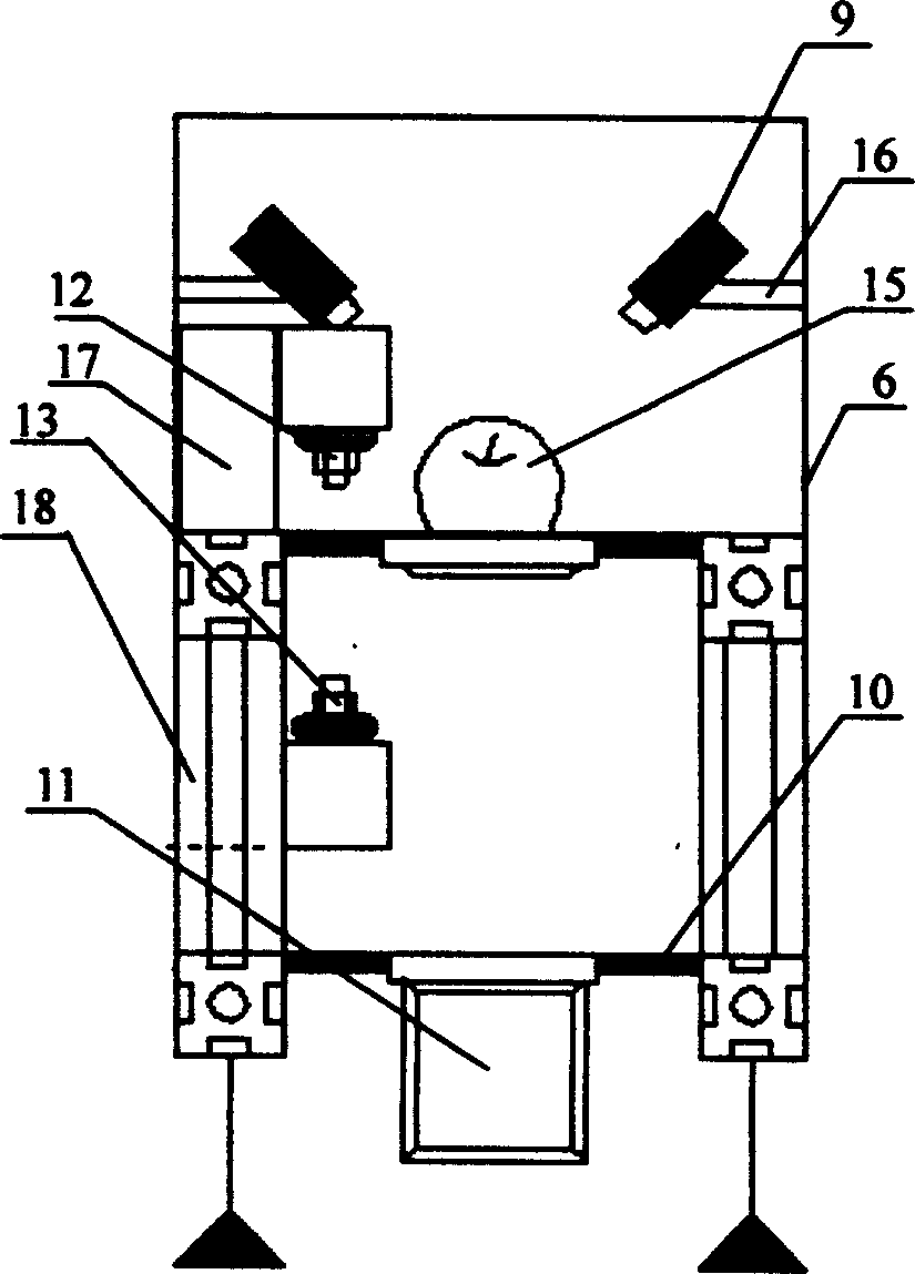 System of recognizing quality of amphisarca in high speed based on machine vision