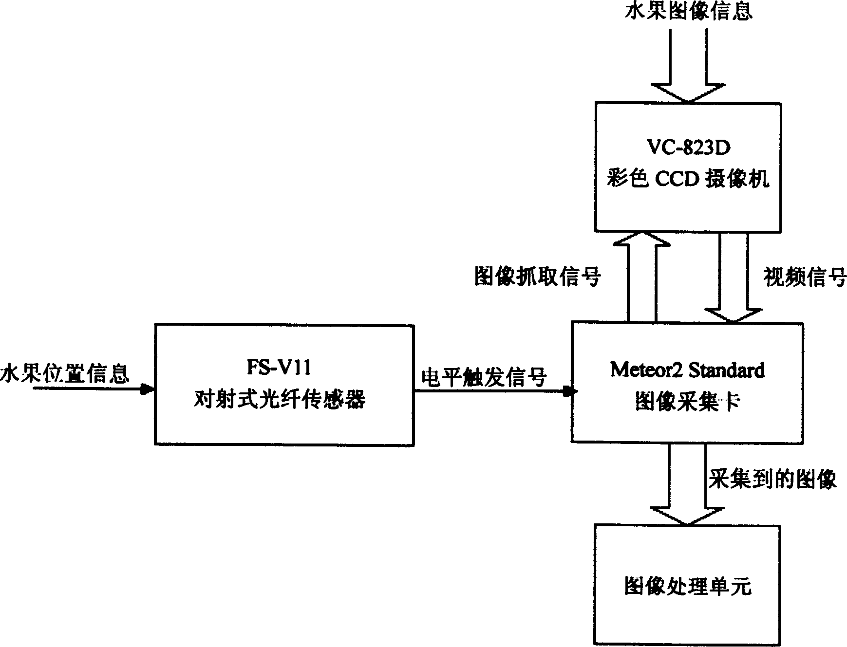 System of recognizing quality of amphisarca in high speed based on machine vision