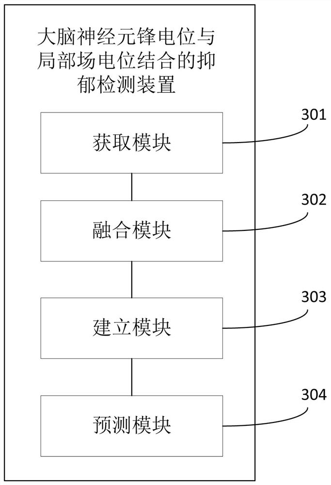 Depression detection method based on combination of brain neuron spike potential and local field potential