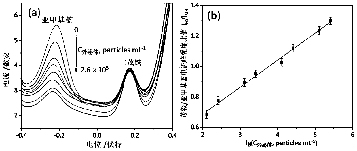 Preparation method of bifunctional hybrid film for tumor exosome self-calibration detection