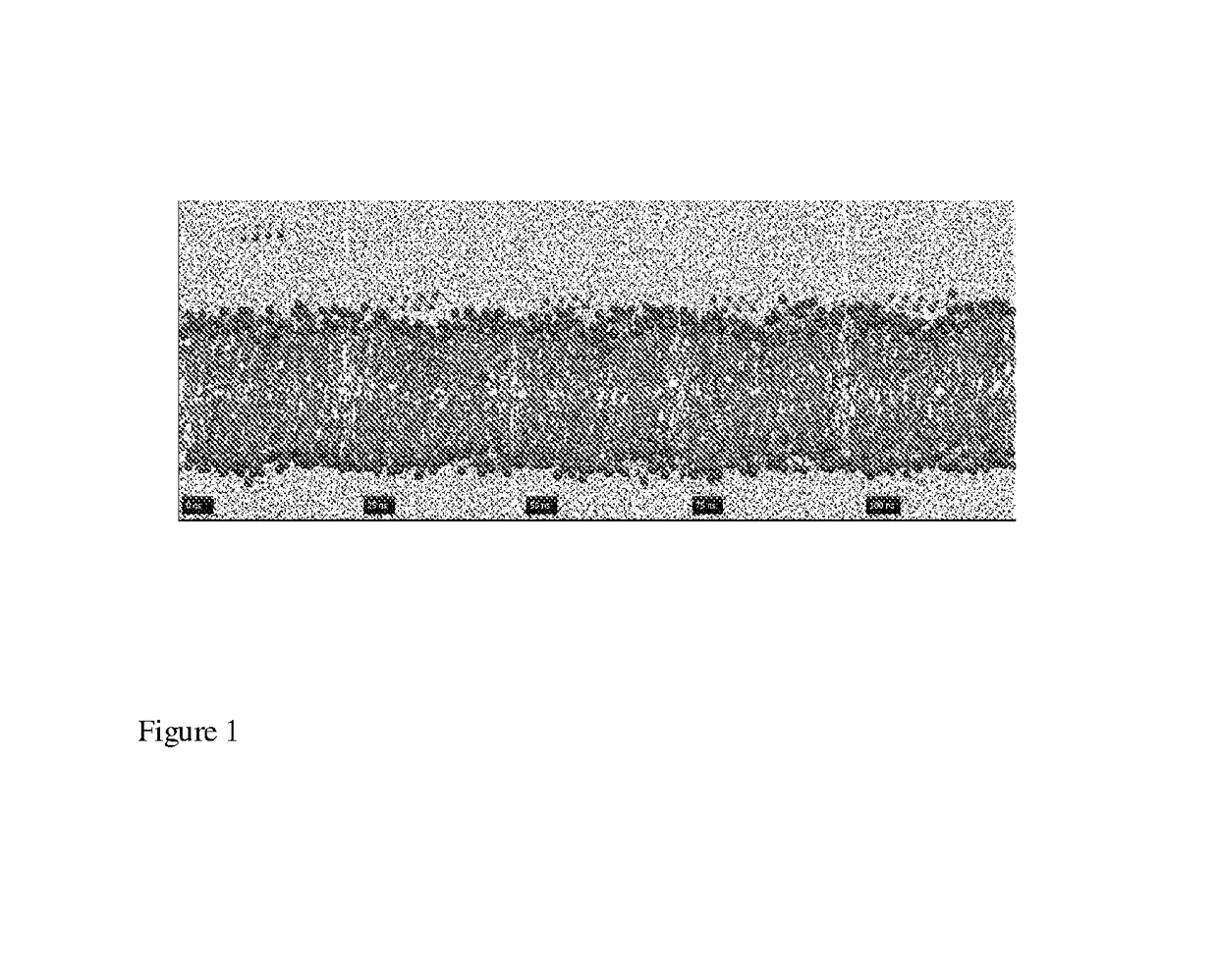 Synthetic antimicrobial peptides