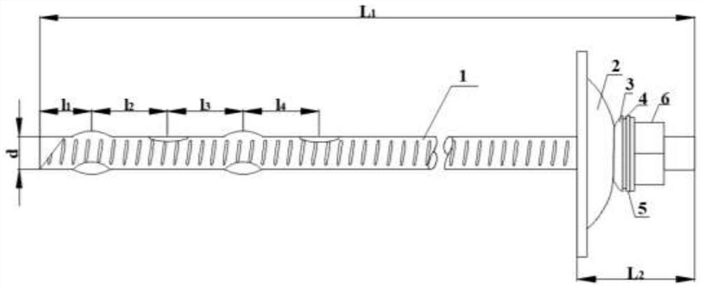 Processing technology and application method of anchor rod capable of improving anchoring performance