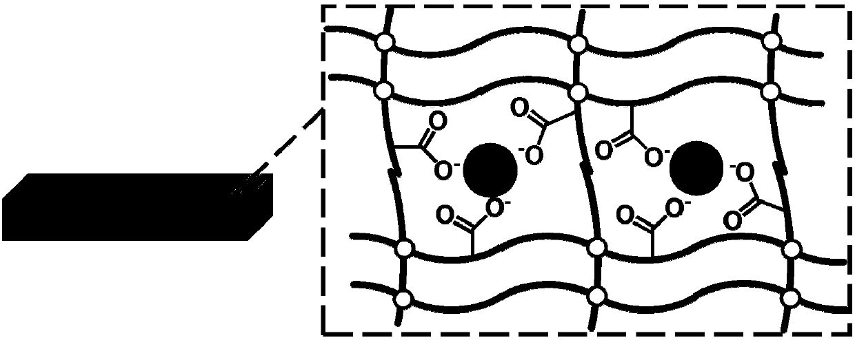 Bilayer hydrogel for promoting interfacial bonding through non-covalent action and preparation method thereof