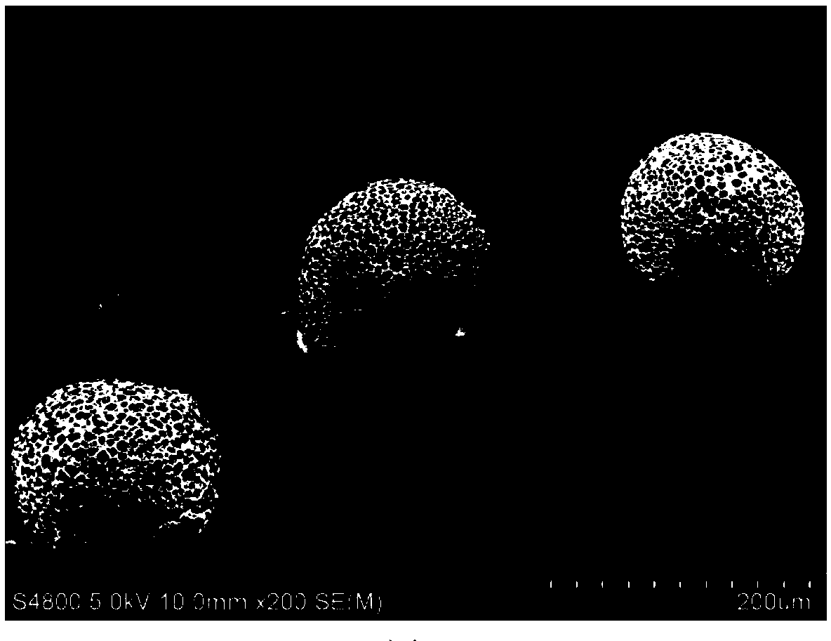 Bone repair material allowing injection of multi-pore structure and preparation method of bone repair material