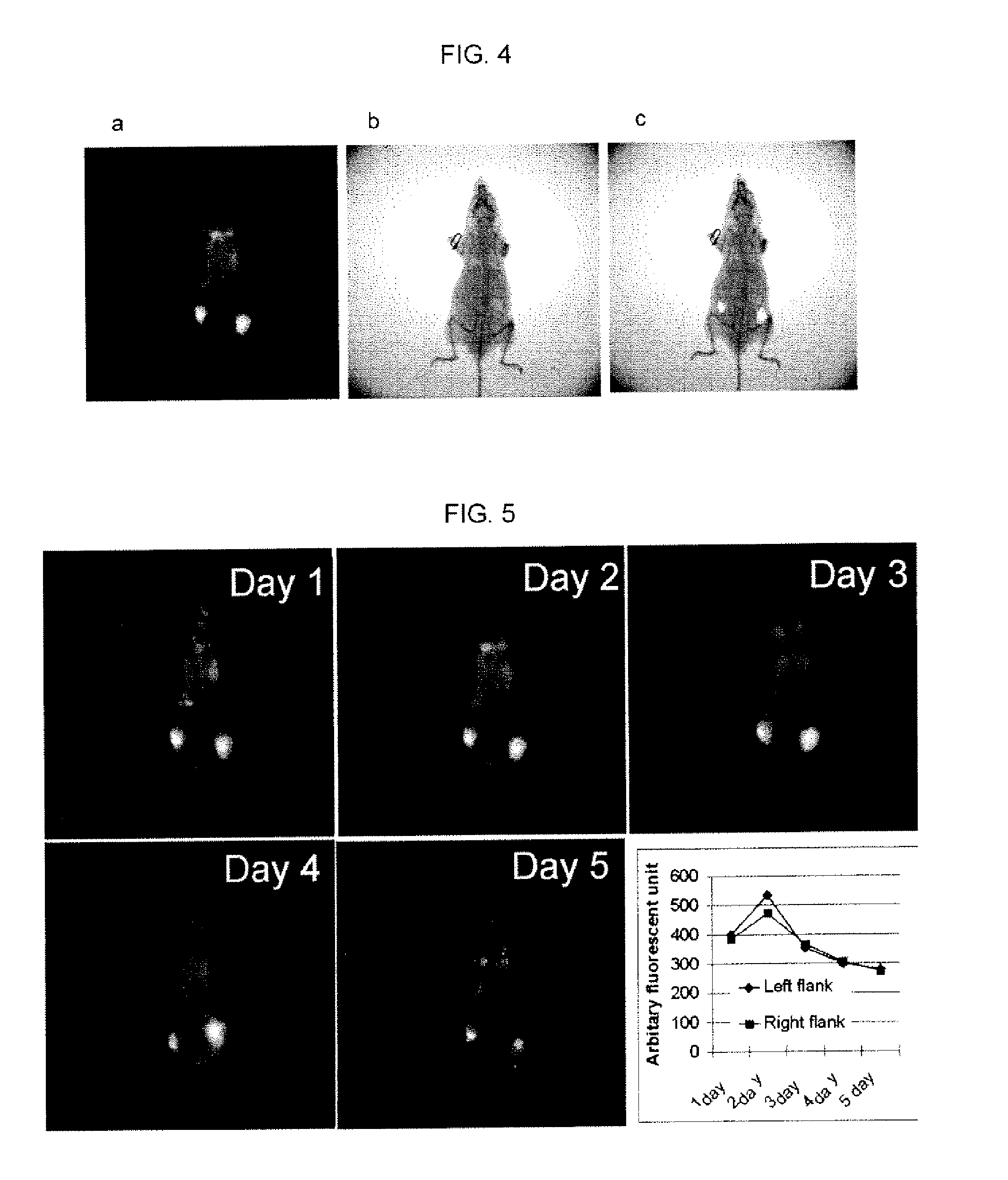 Small molecule ligand-drug conjugates for targeted cancer therapy