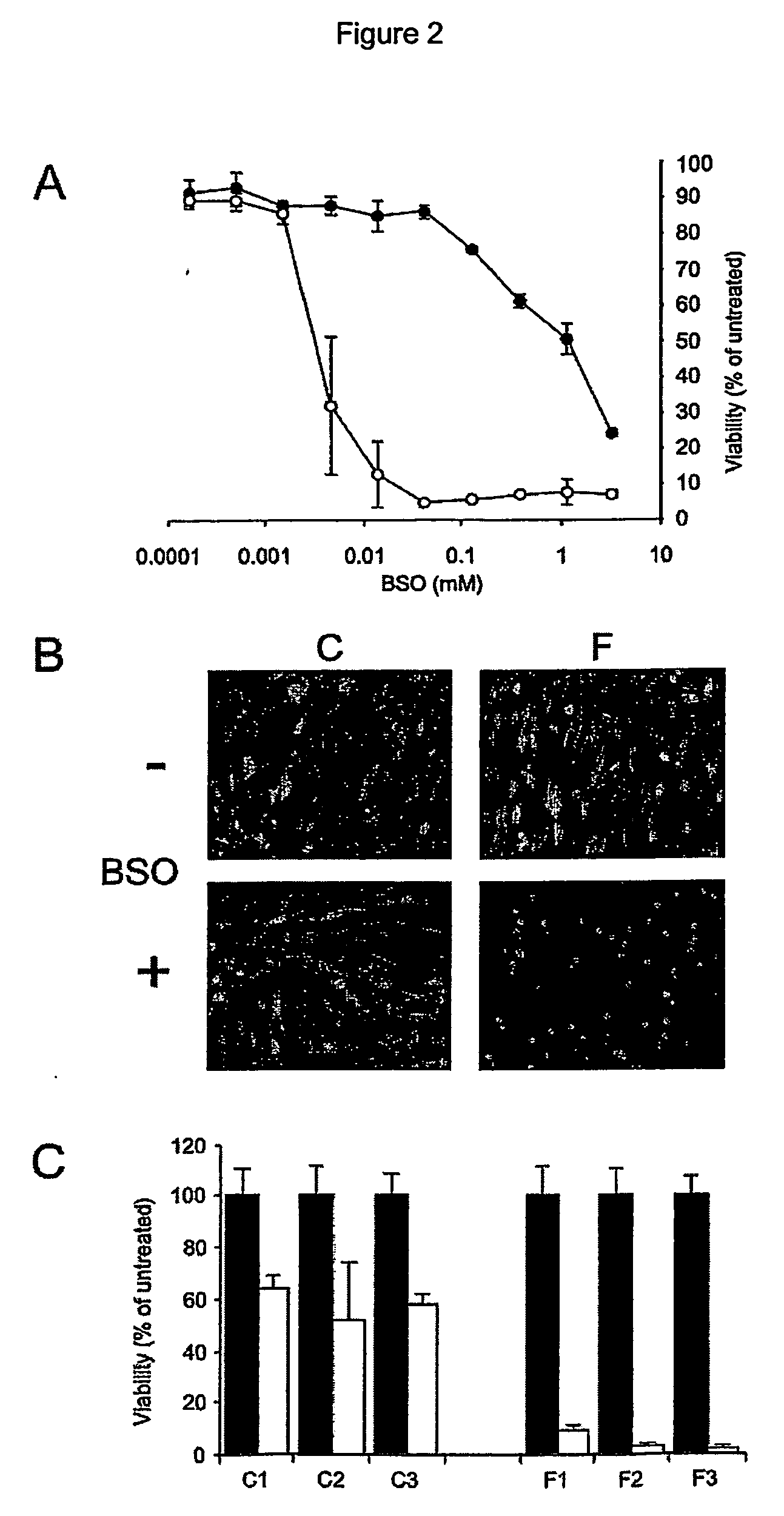 Screening method and compounds for treating friedreich ataxia