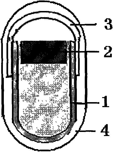 Novel capsule colon-specific drug delivery system (CSDDS) and preparation method thereof