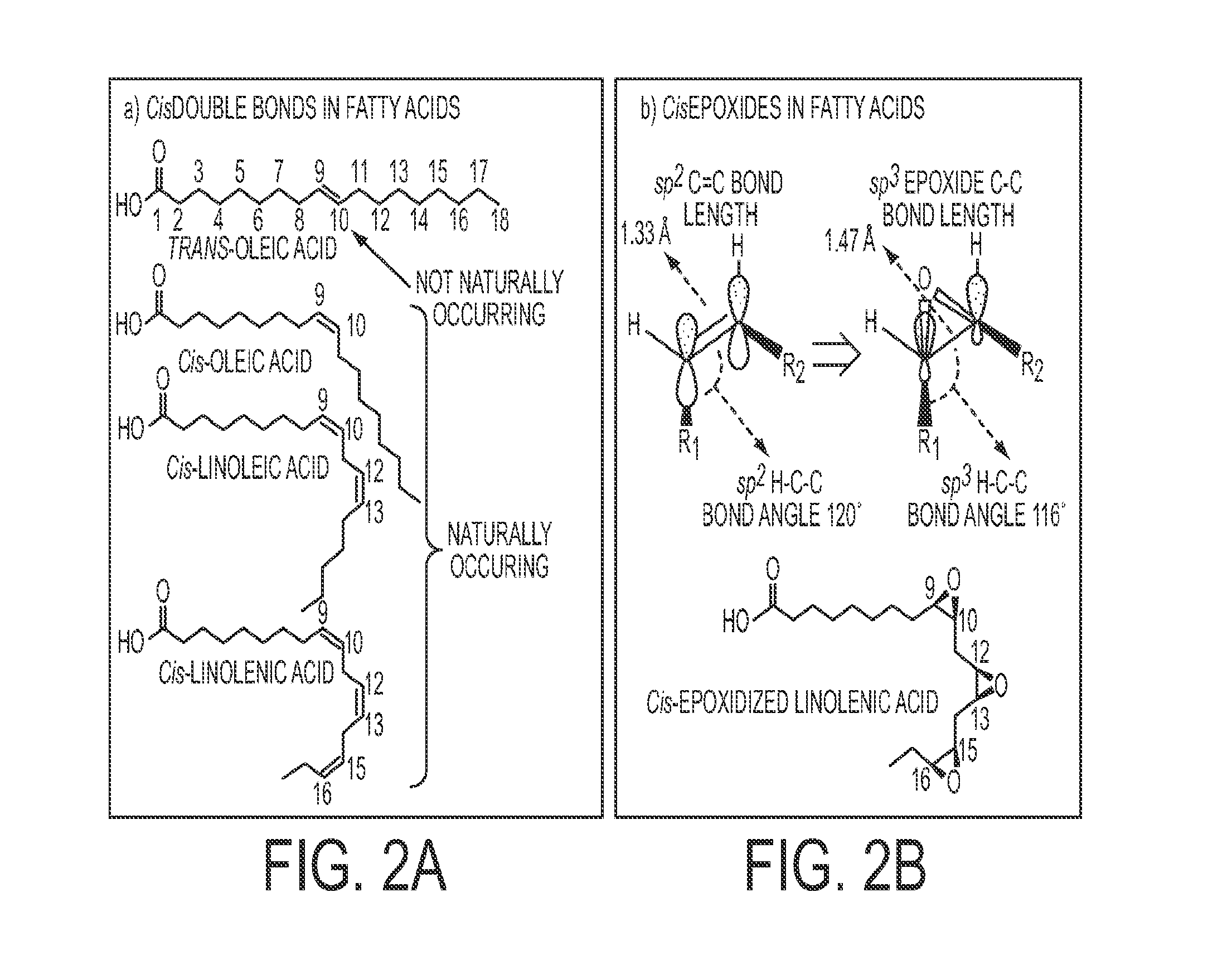 Highly functional epoxidized resins and coatings