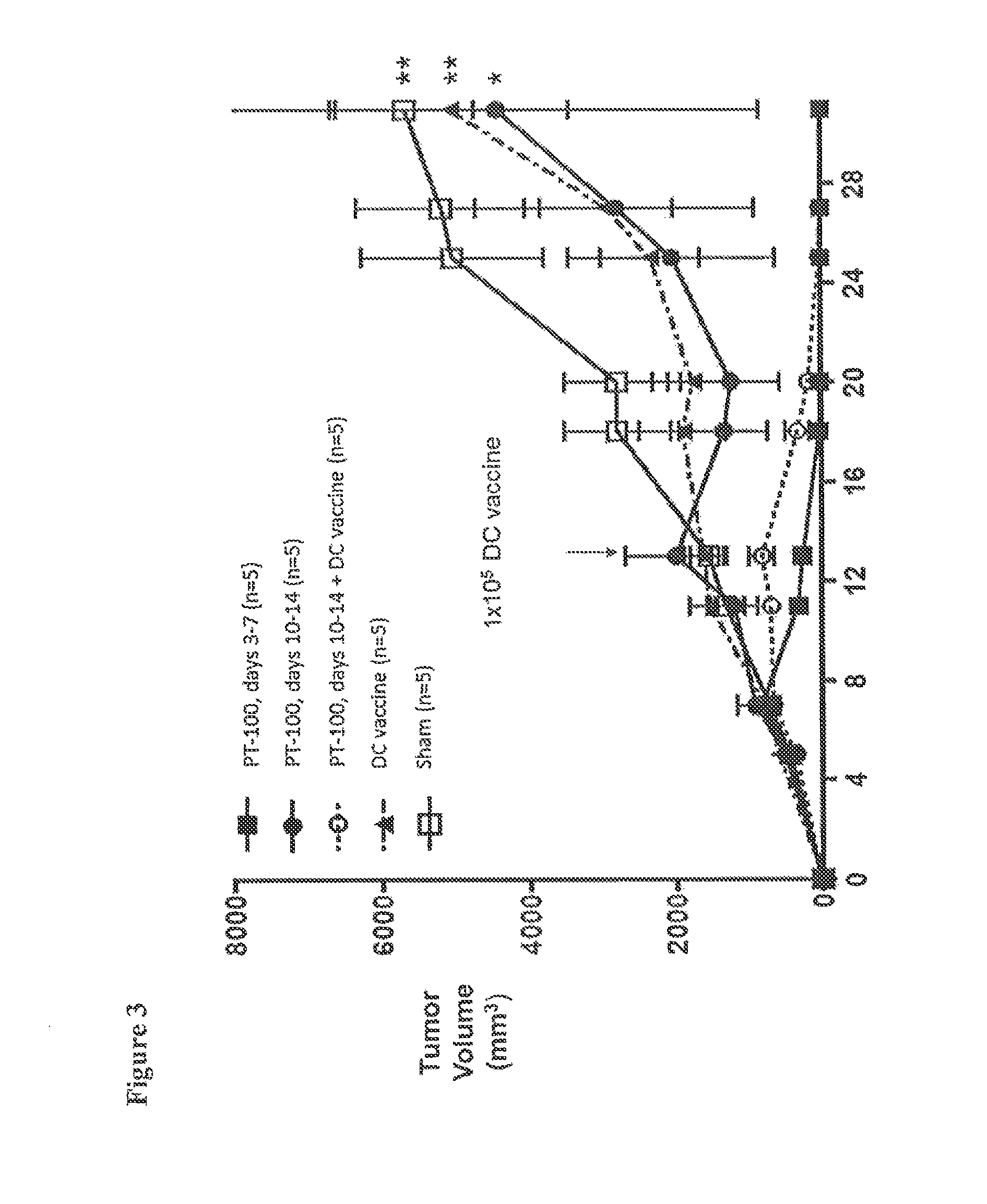 Small molecule enhancer for dendritic cell cancer vaccines