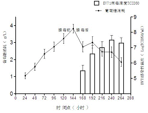 Optimized process method for amplifying enterovirus type 71 by use of bioreactor