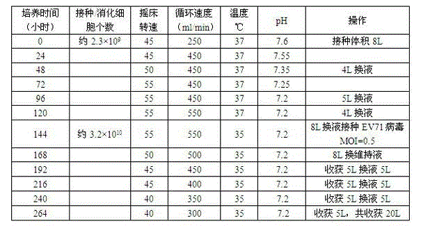 Optimized process method for amplifying enterovirus type 71 by use of bioreactor