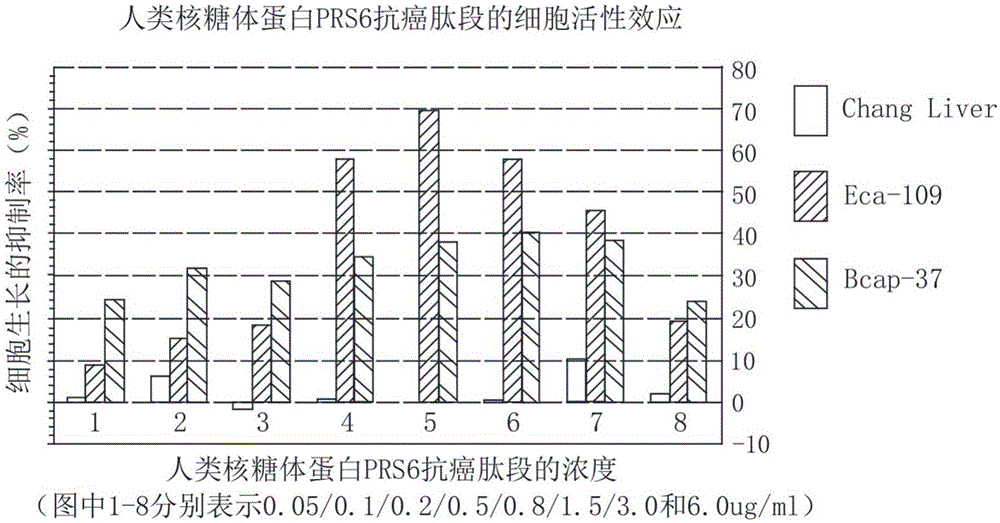 Human ribosomal protein RPS6 subunit anticancer peptide fragment and application thereof