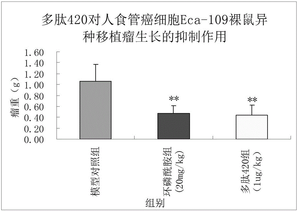 Human ribosomal protein RPS6 subunit anticancer peptide fragment and application thereof