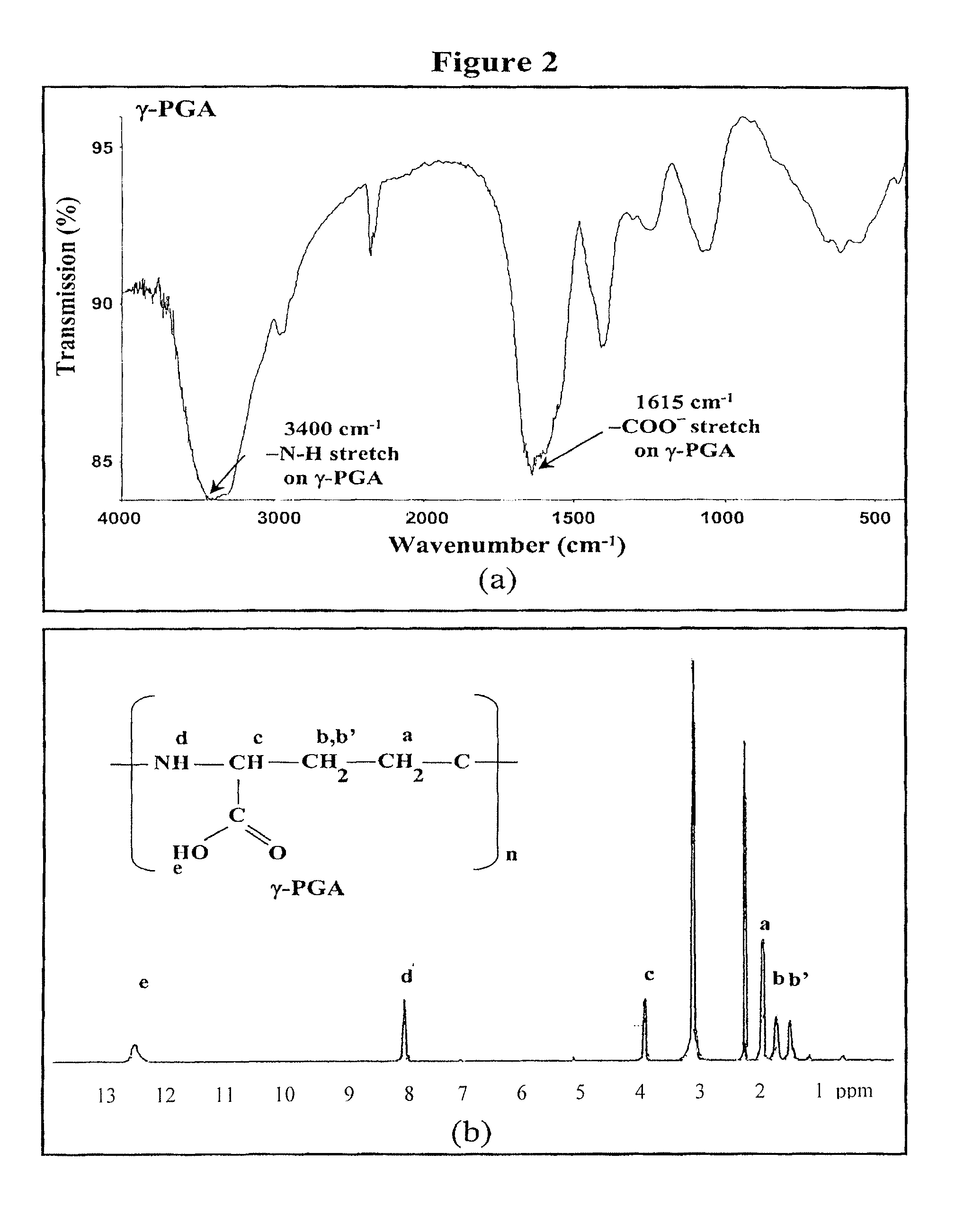 Nanoparticles for protein drug delivery