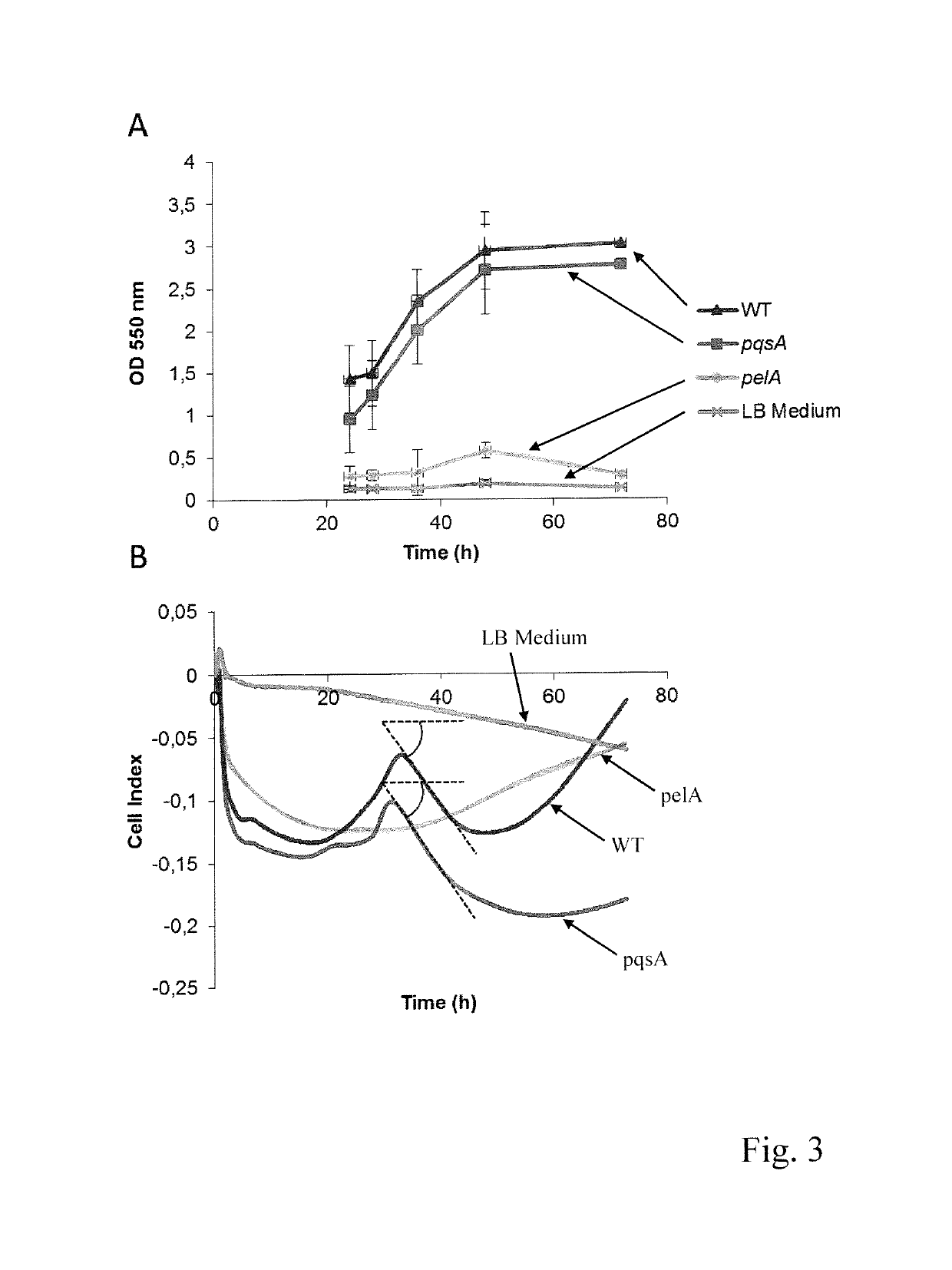 Method and measuring device for determination of the growth rate of biofilm