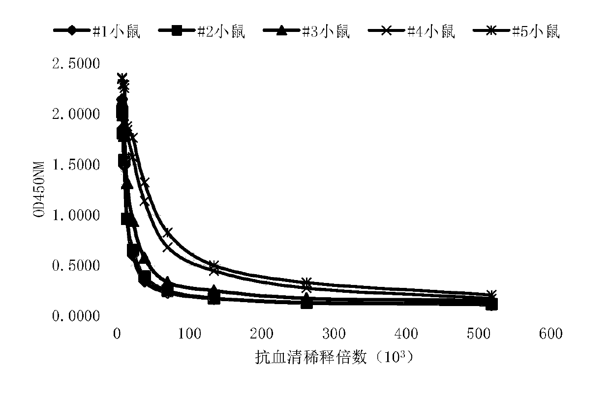 Hybridoma cell strain 105D11, antibody and application thereof