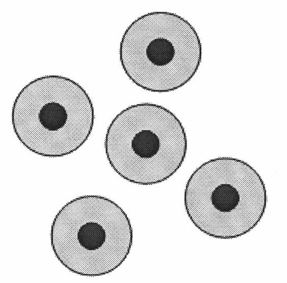 Preparation method of water-based polyacrylate modified polyurethane dispersion (PUD)