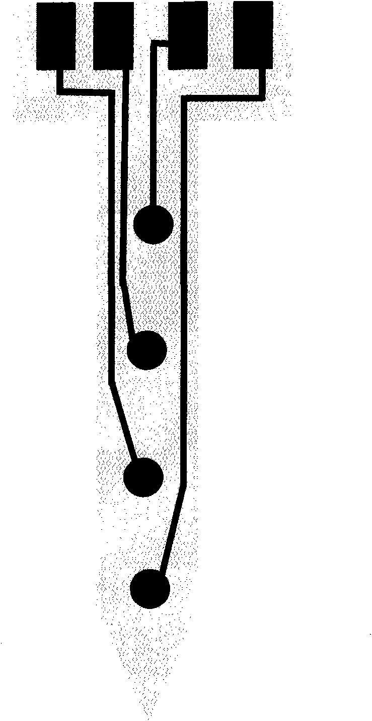 Flexible probe electrode used for recording electric signal of neural activity and implanting tool thereof