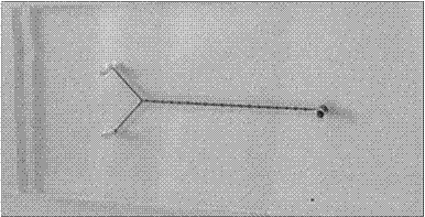 Microfluidic chip with symmetrical semi-cylindrical grooves on side wall