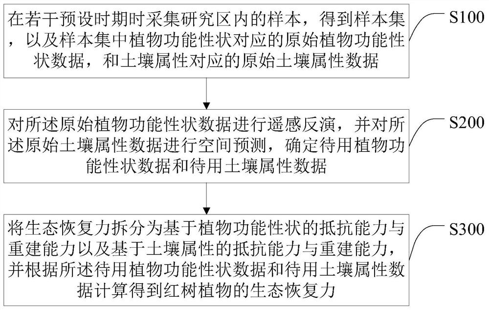 Mangrove forest ecological restorability assessment method based on unmanned aerial vehicle hyperspectrum