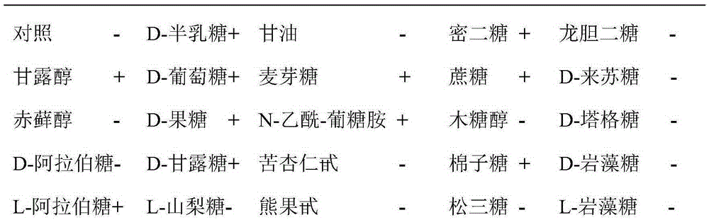 Leuconostoc mesenteroides as well as preparation method and application thereof