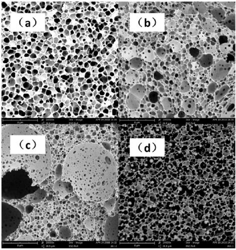 Preparation method of composite membrane for efficiently filtering micro-pollutants in water