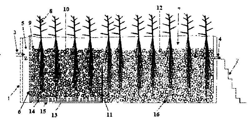 Active-matrix-reinforced underflow constructed wetland device