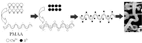 Preparation method of copper sulfide ultra-long micro-wire