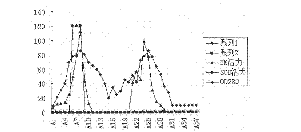 Superposition type fixed bed phase-conversion focusing chromatographic column and separation method